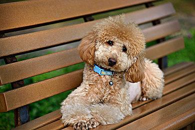 《索尼克：未知边境》NS版泄露 模拟器视频曝光